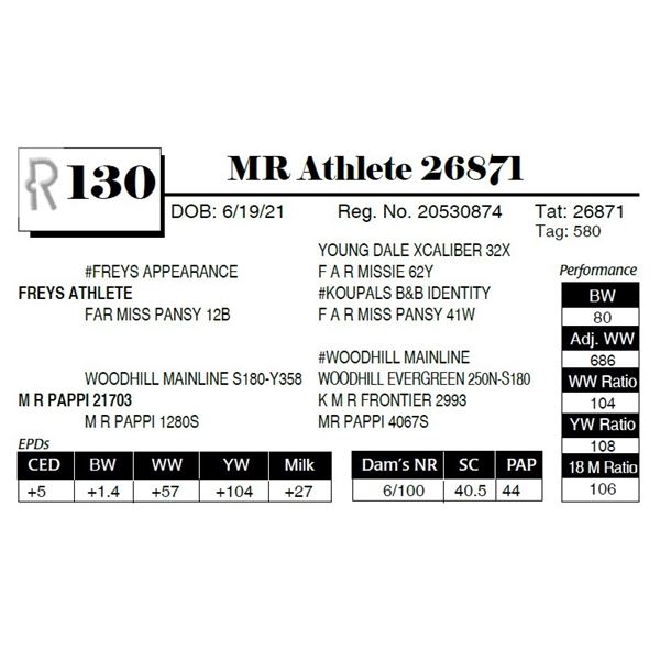 MR Athlete 26871