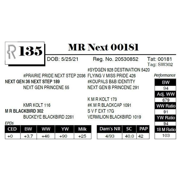 MR Next 00181