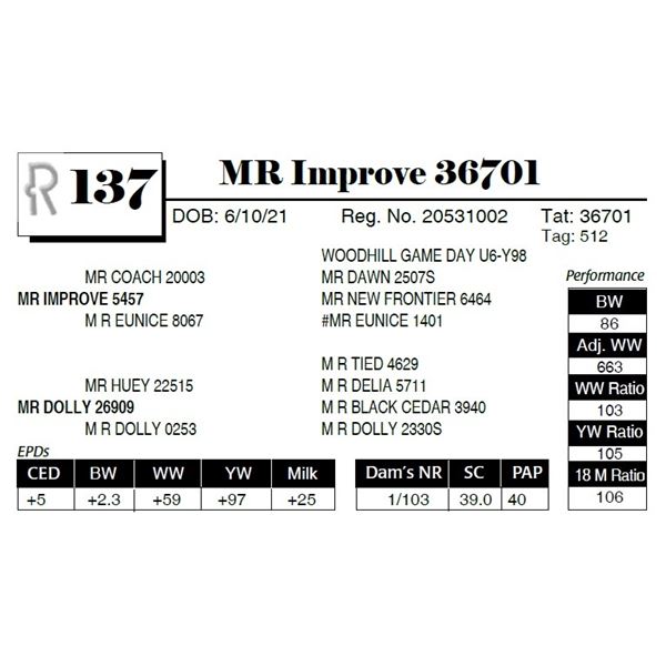 MR Improve 36701