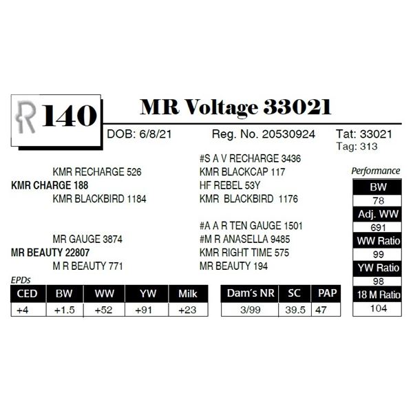 MR Voltage 33021