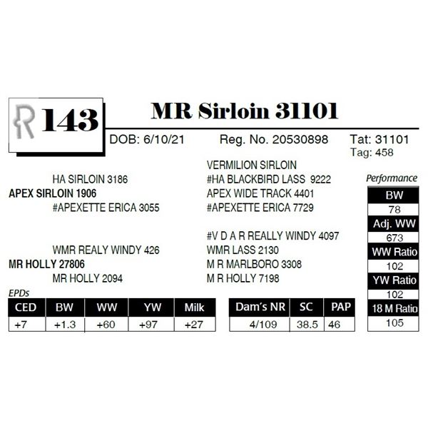 MR Sirloin 31101