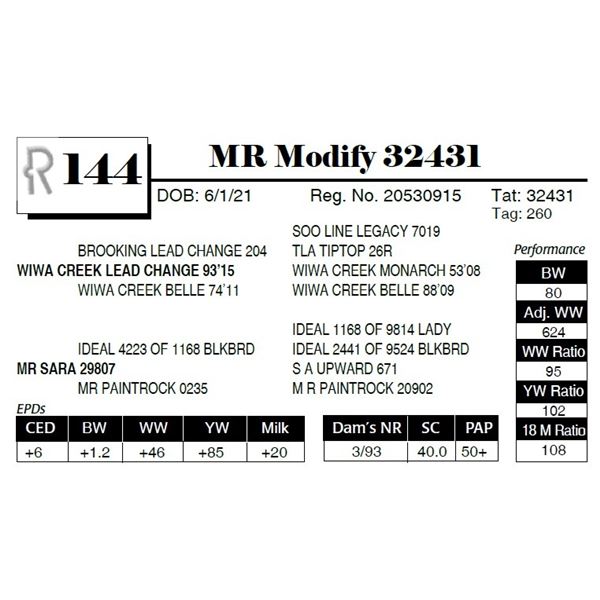 MR Modify 32431