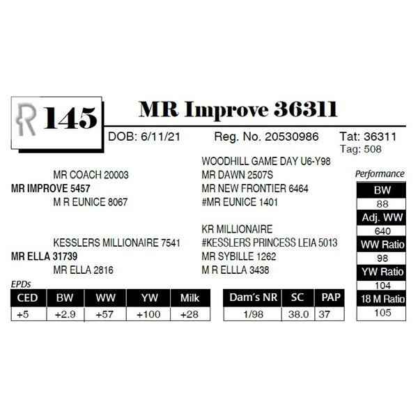 MR Improve 36311