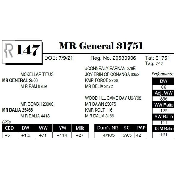 MR General 31751