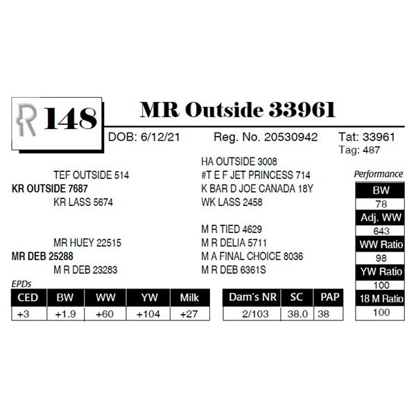 MR Outside 33961