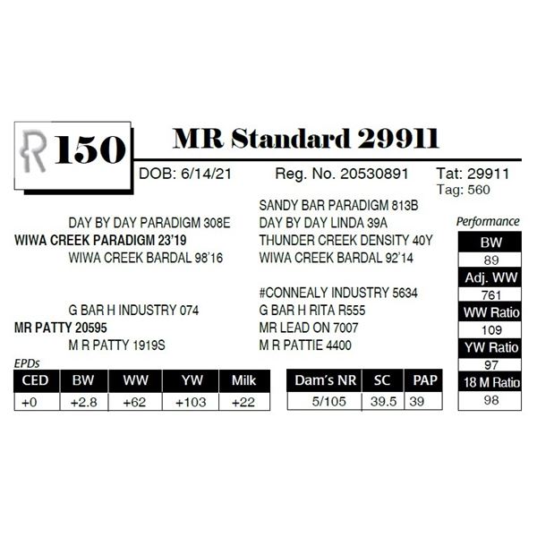 MR Standard 29911