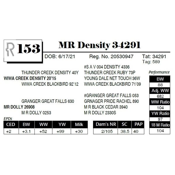 MR Density 34291