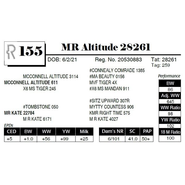 MR Altitude 28261