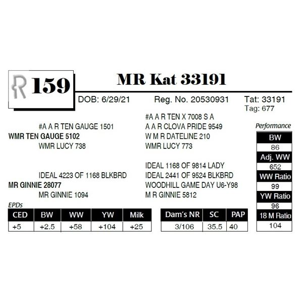 MR Kat 33191