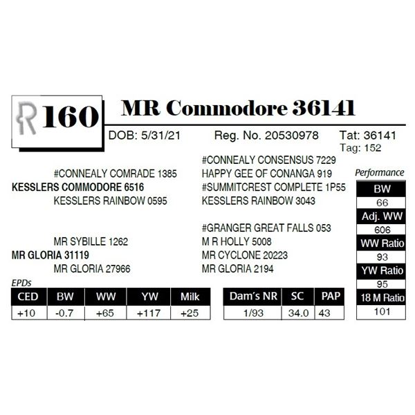 MR Commodore 36141