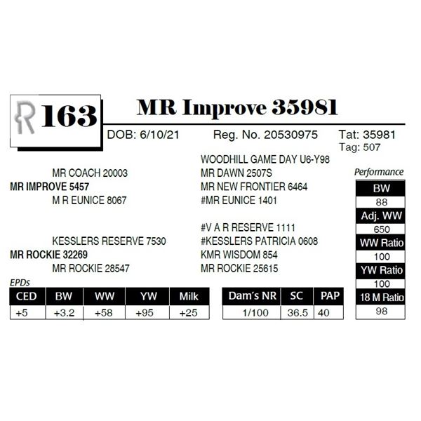 MR Improve 35981