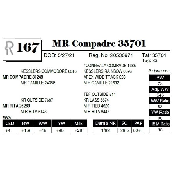 MR Compadre 35701