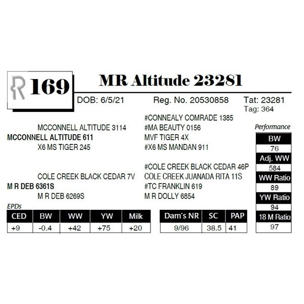 MR Altitude 23281