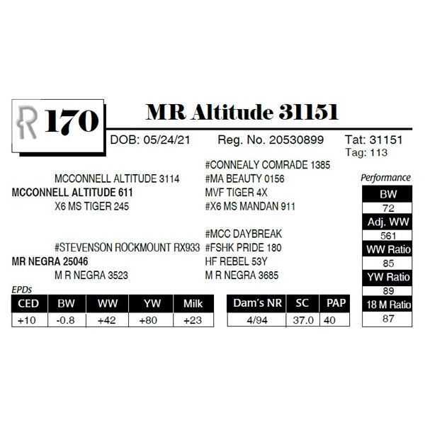 MR Altitude 31151