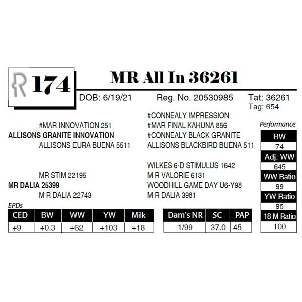 MR All In 36261