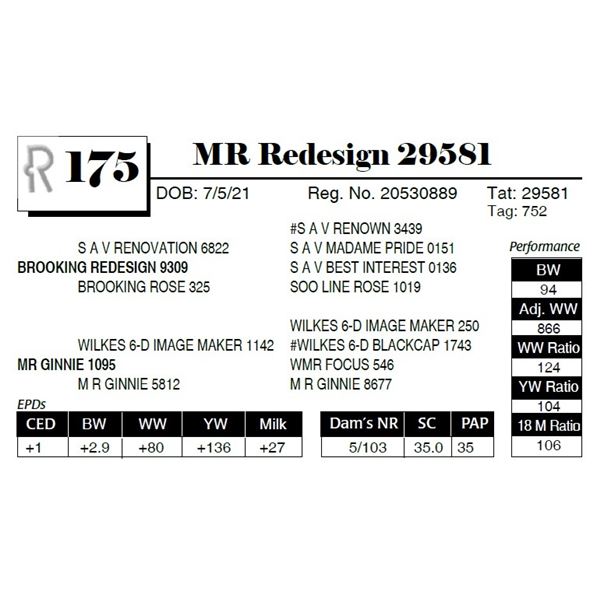 MR Redesign 29581