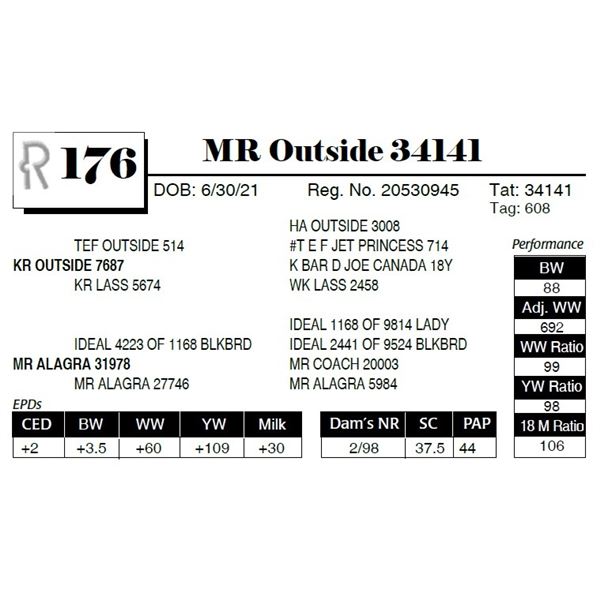 MR Outside 34141