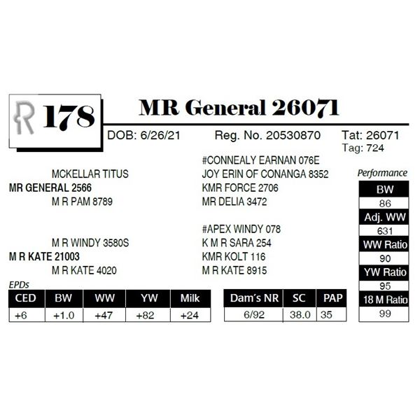 MR General 26071