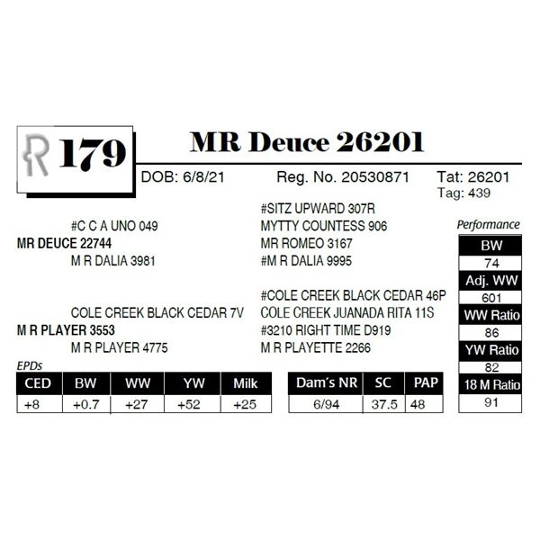 MR Deuce 26201