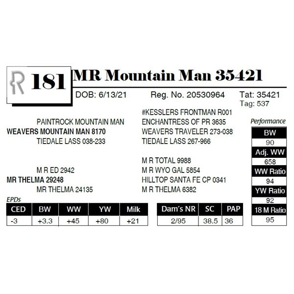 MR Mountain Man 35421