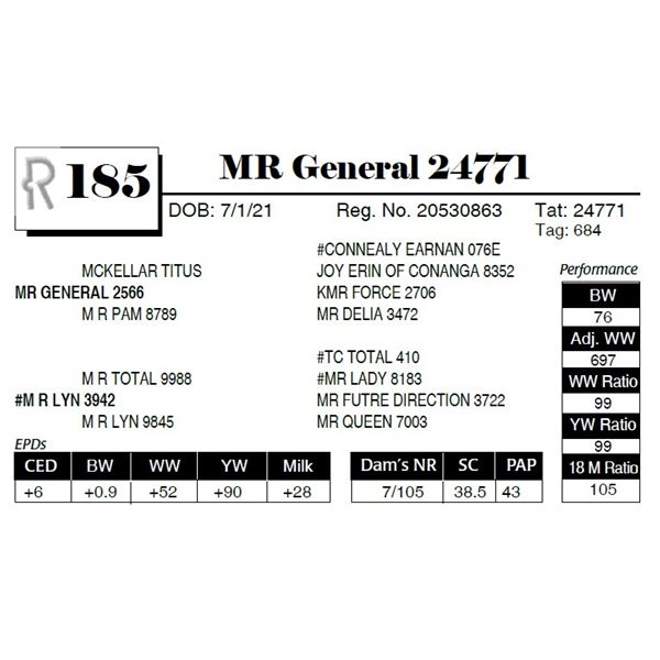 MR General 24771