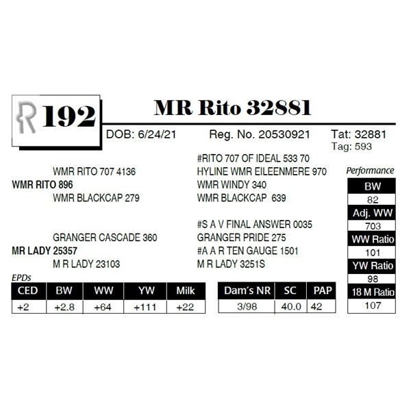 MR Rito 32881