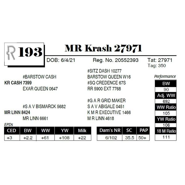 MR Krash 27971