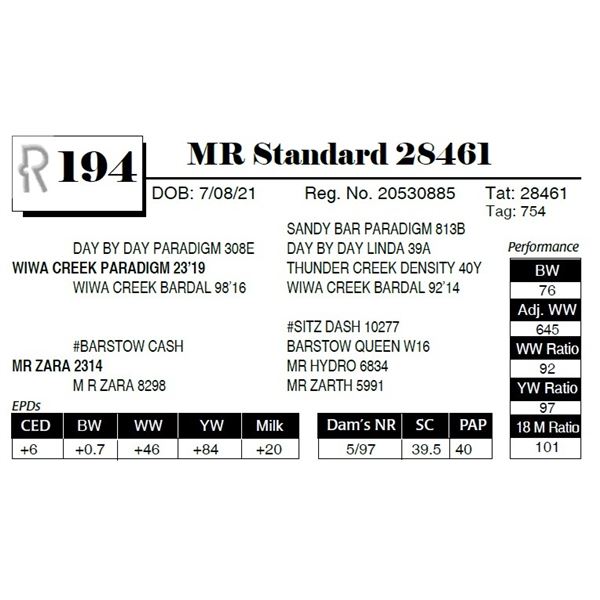 MR Standard 28461