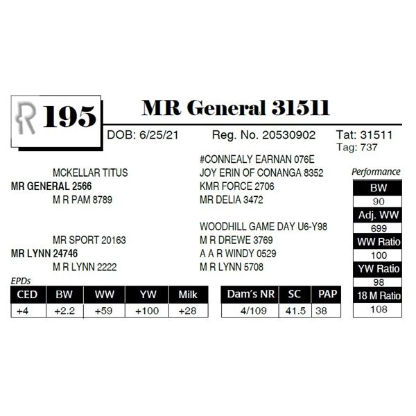 MR General 31511