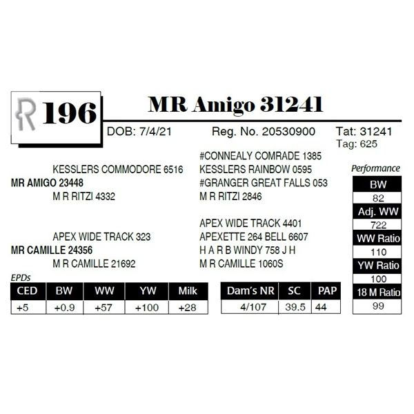 MR Amigo 31241