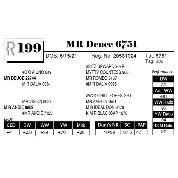 MR Deuce 6751