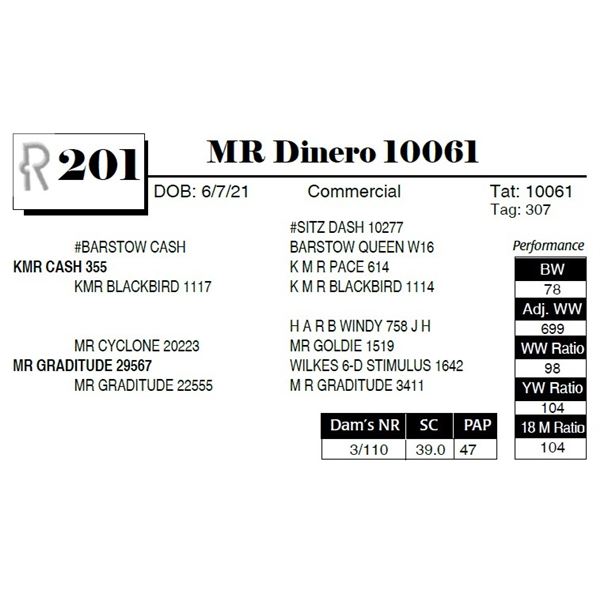 MR Dinero 10061