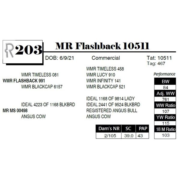 MR Flashback 10511