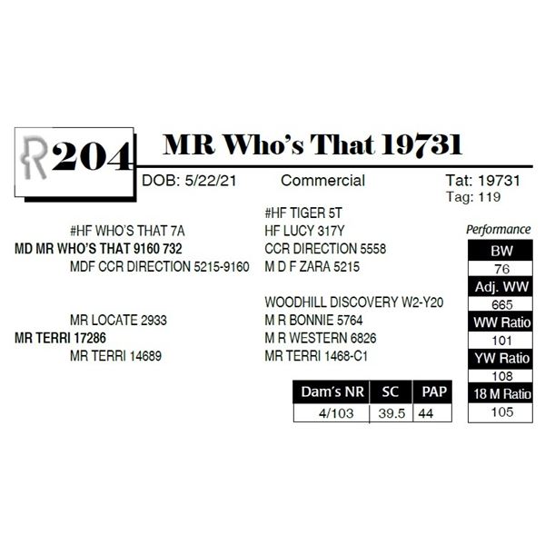 MR Who's That 19731