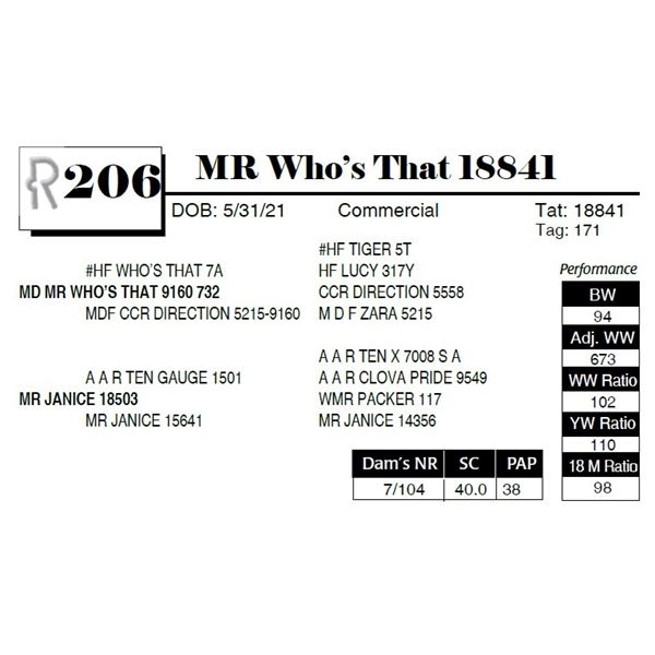 MR Who's That 18841