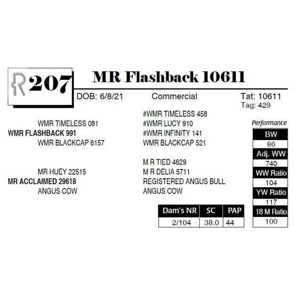 MR Flashback 10611