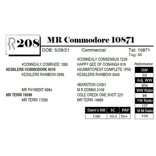 MR Commodore 10871