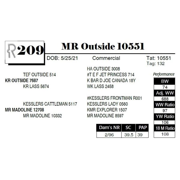MR Outside 10551