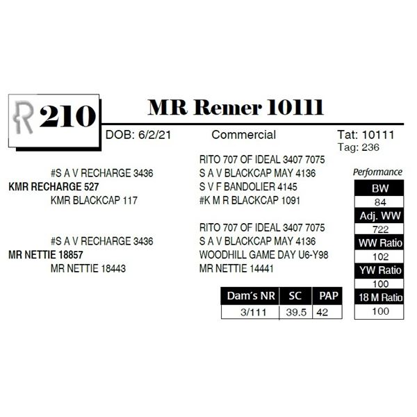 MR Remer 10111