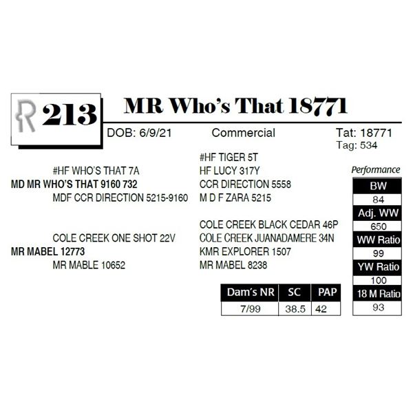 MR Who's That 18771