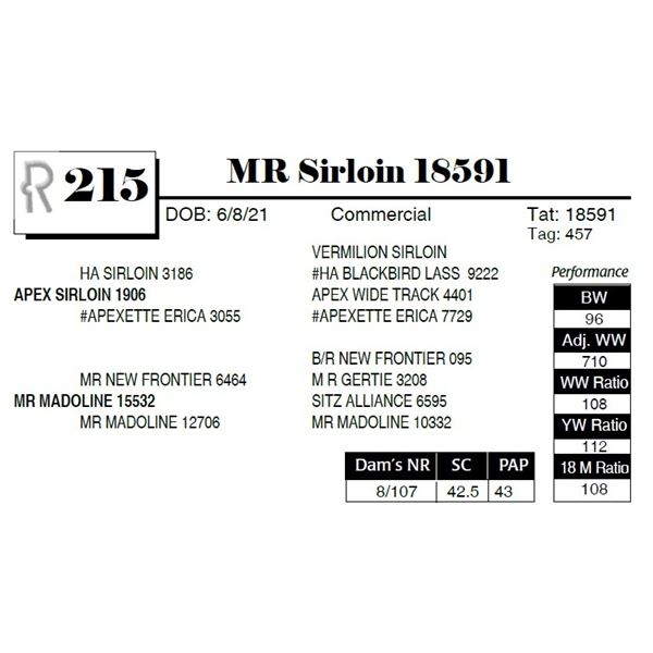 MR Sirloin 18591