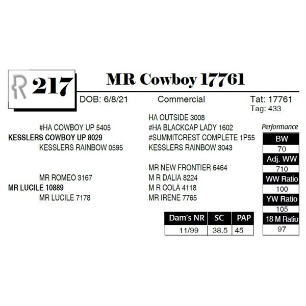 MR Cowboy 17761