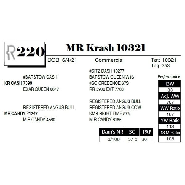 MR Krash 10321