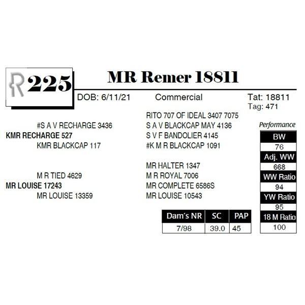 MR Remer 18811