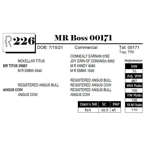 MR Boss 00171