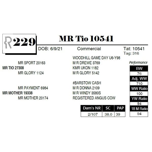 MR Tio 10541