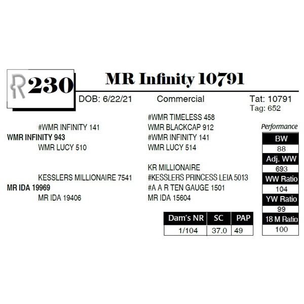 MR Infinity10791