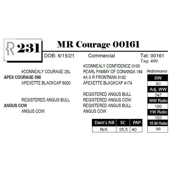 MR Courage 00161