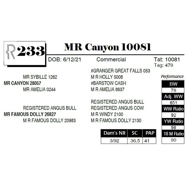 MR Canyon 10081