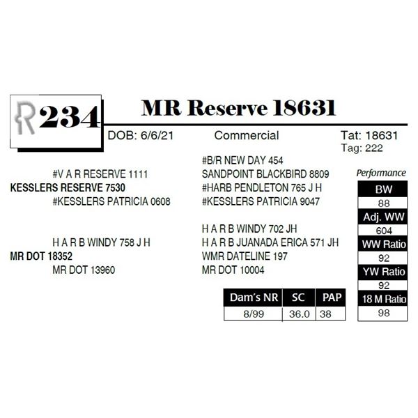 MR Reserve 18631